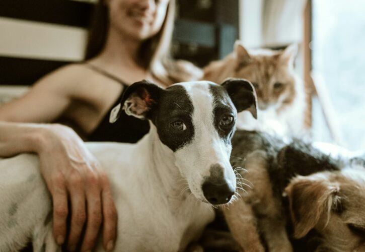 Walking the Dog: The Effect of Pet Ownership on Human Health and Health Behaviors